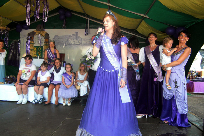 05.jpg