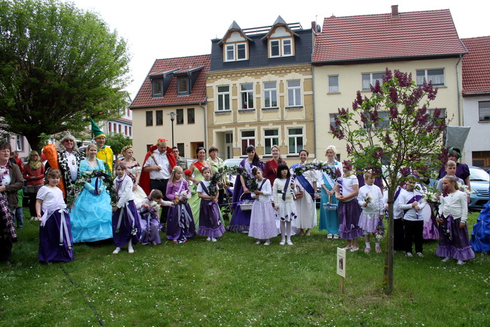 03 Pflanzen des Fliederbaumes.JPG